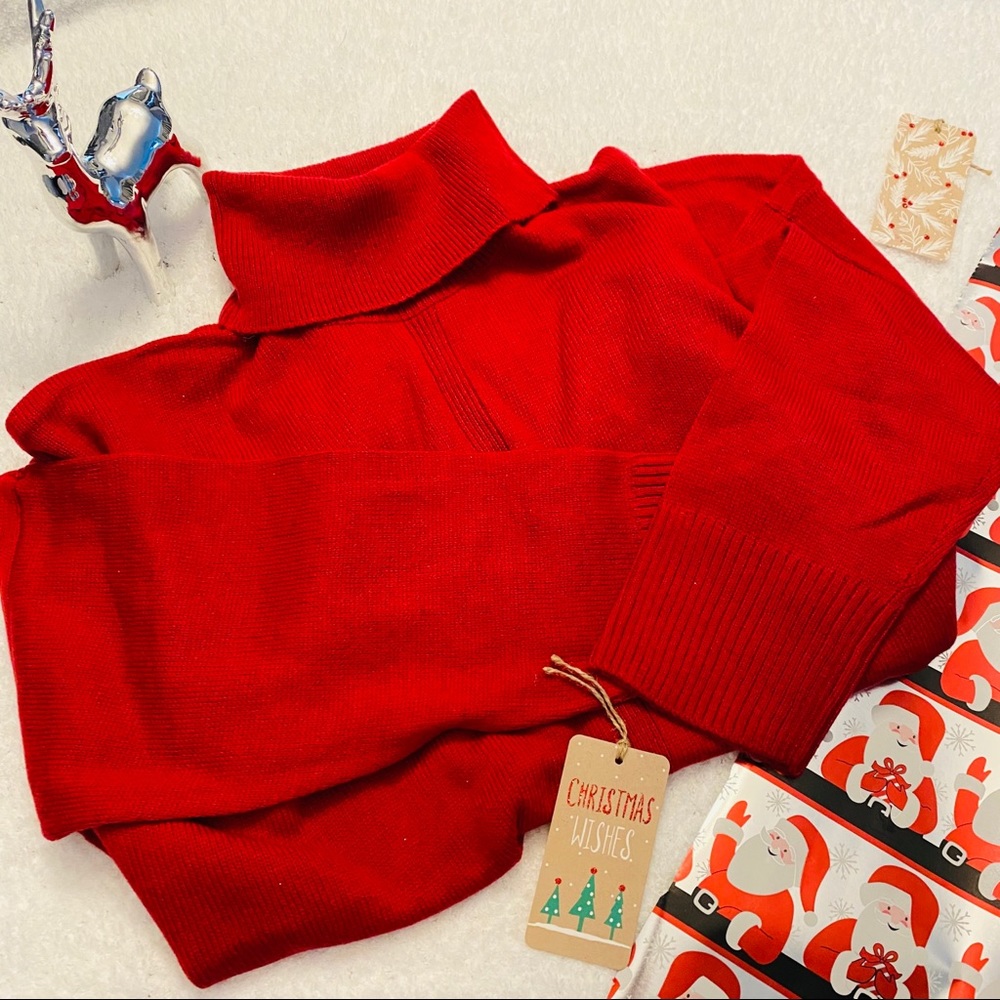RED TURTLENECK SWEATER CASHMERE NWT 3X